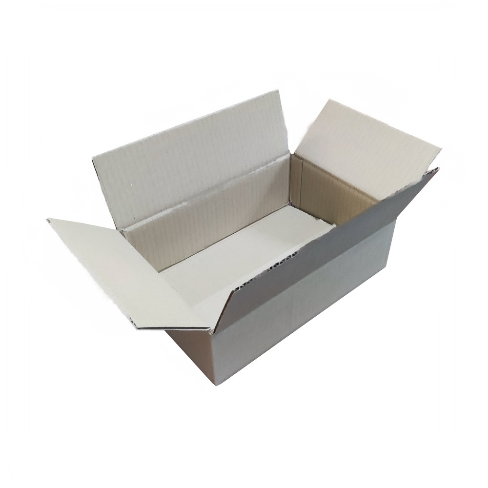 Caja embalaje medidas 300x200x100-3